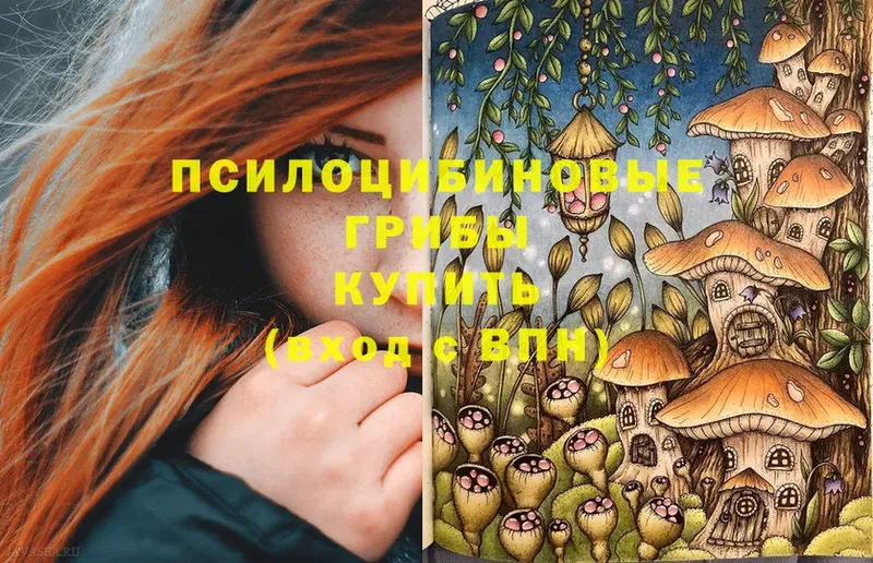 Псилоцибиновые грибы Psilocybe  hydra ссылка  Болхов 